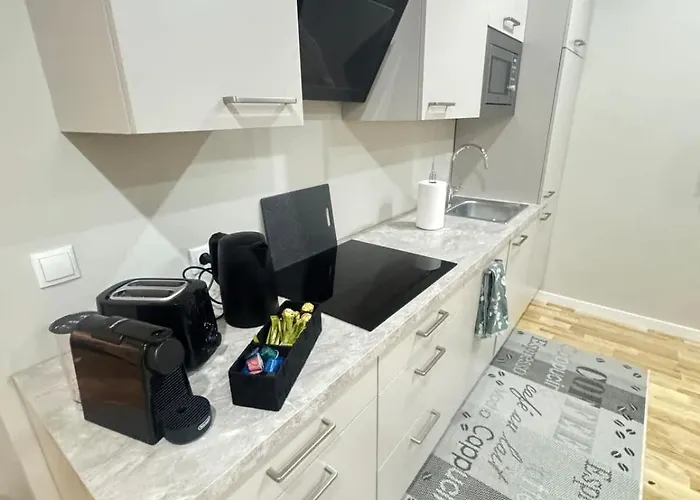 Appartement Wohnen Im Kunstwerk Neben Hundertwasserhaus L Hg4
